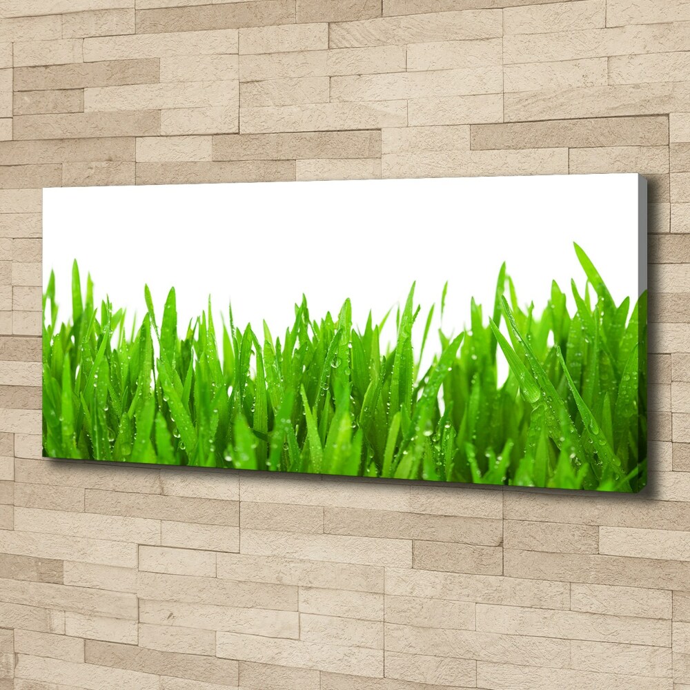 Tableau mural sur toile Herbe