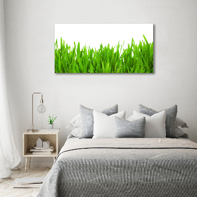 Tableau mural sur toile Herbe