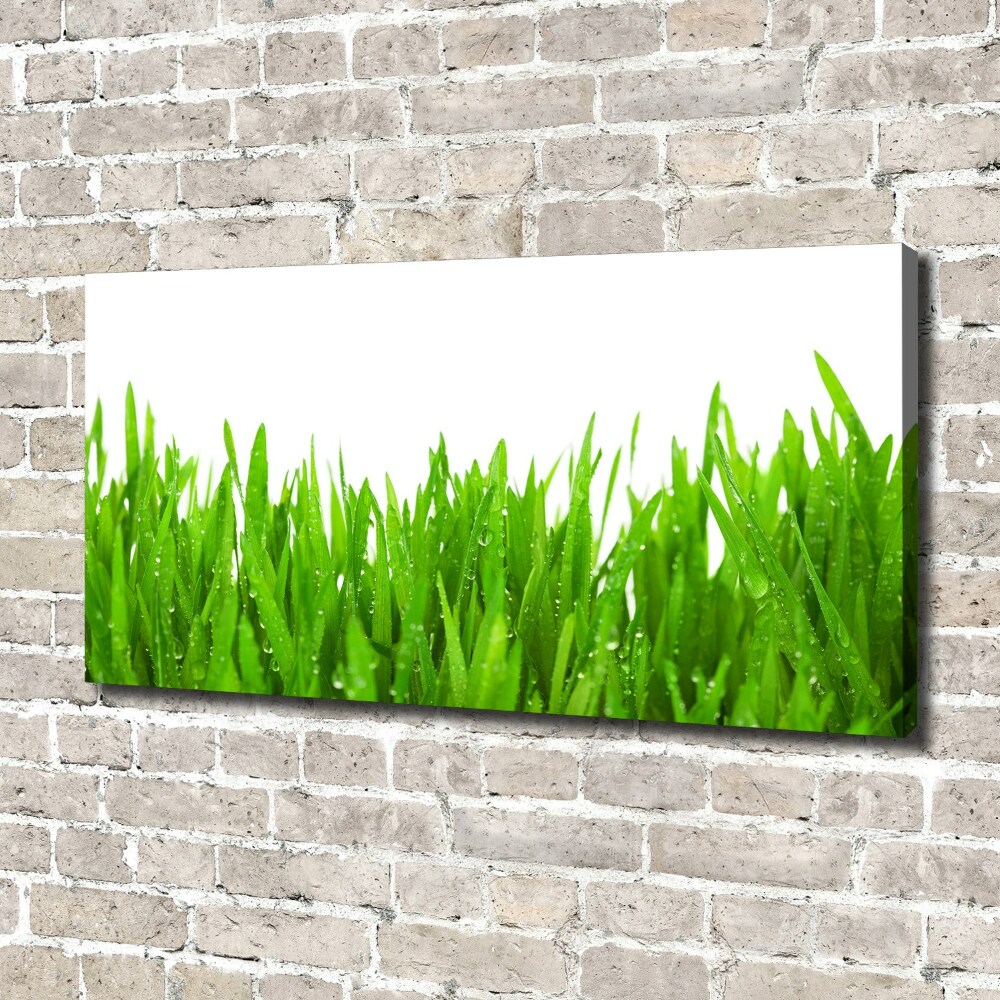 Tableau mural sur toile Herbe