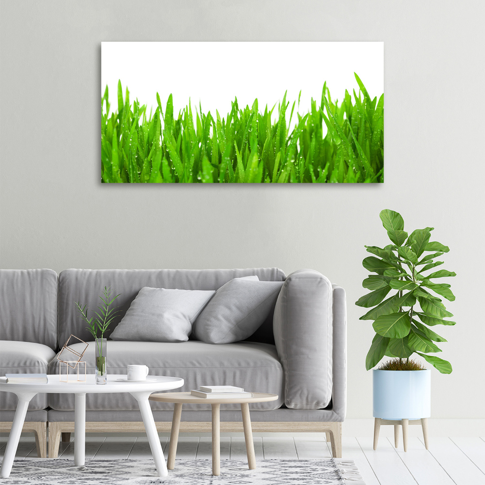 Tableau mural sur toile Herbe