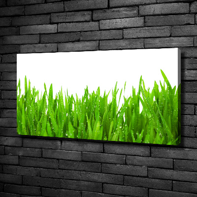 Tableau mural sur toile Herbe