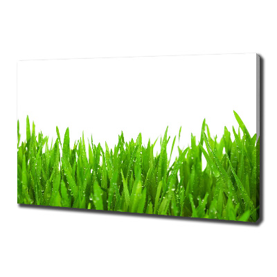 Tableau mural sur toile Herbe