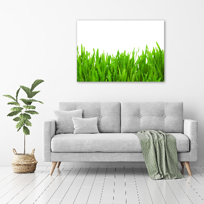 Tableau mural sur toile Herbe