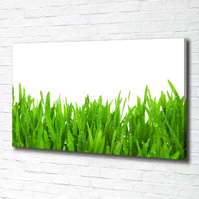 Tableau mural sur toile Herbe