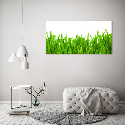 Tableau mural sur toile Herbe