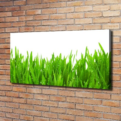 Tableau mural sur toile Herbe