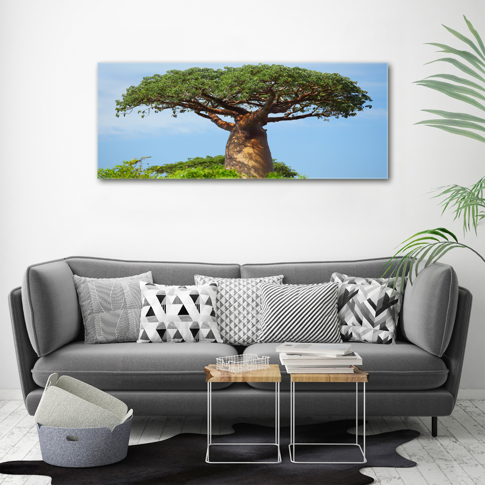 Tableau photo sur toile Baobab