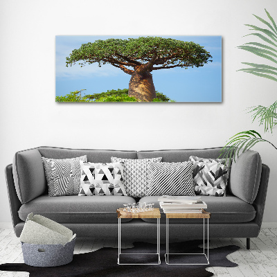 Tableau photo sur toile Baobab