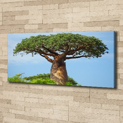 Tableau photo sur toile Baobab