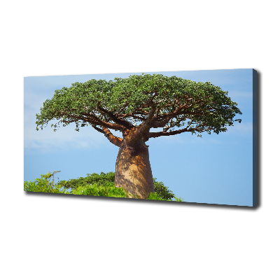 Tableau photo sur toile Baobab