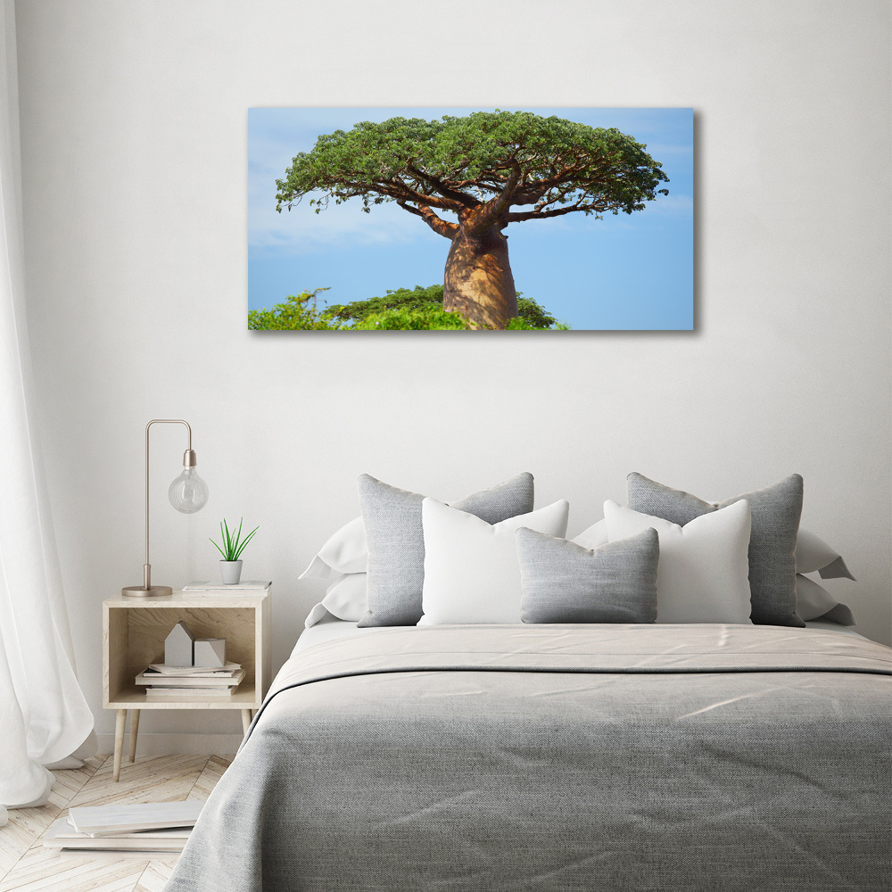 Tableau photo sur toile Baobab