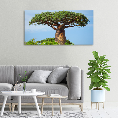 Tableau photo sur toile Baobab