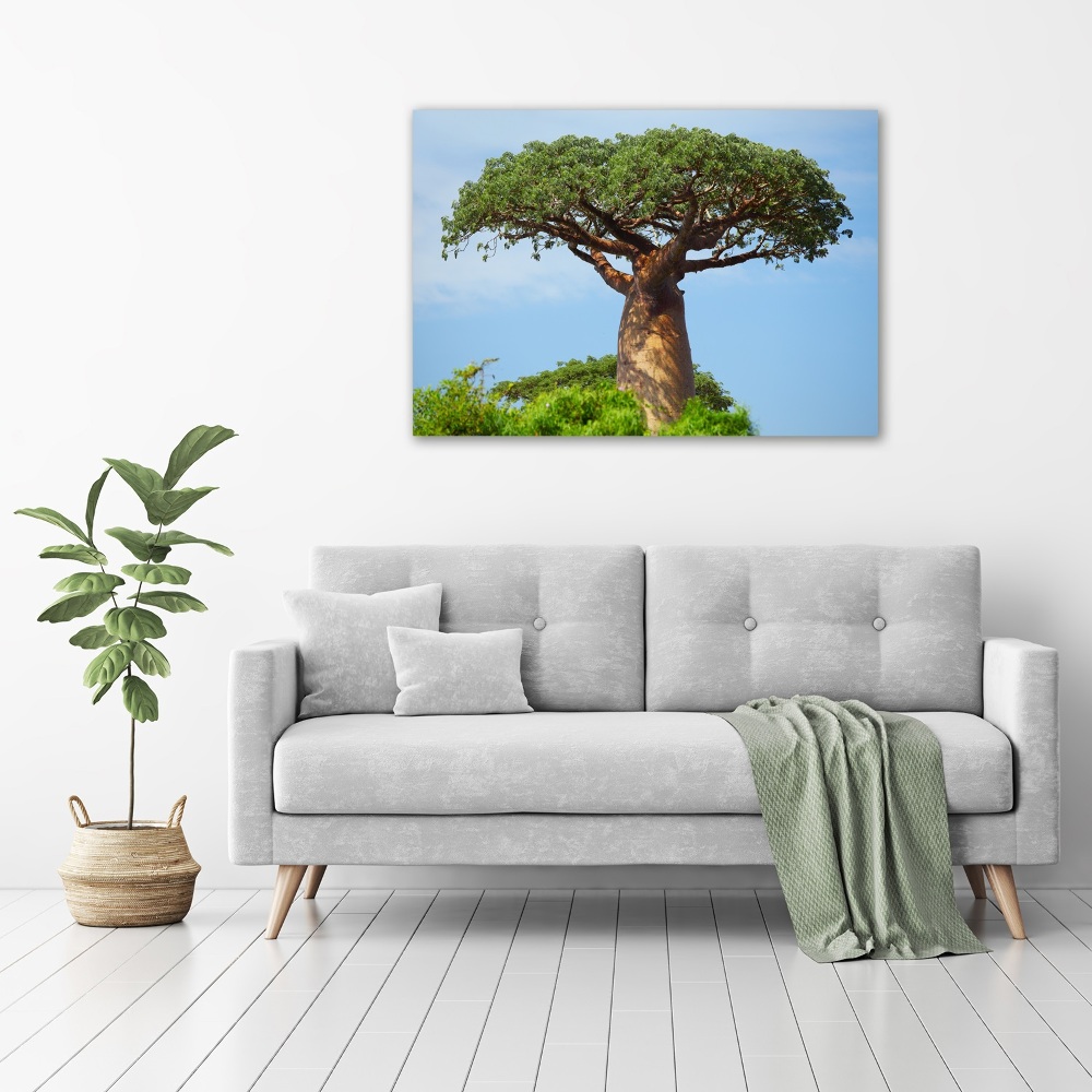 Tableau photo sur toile Baobab