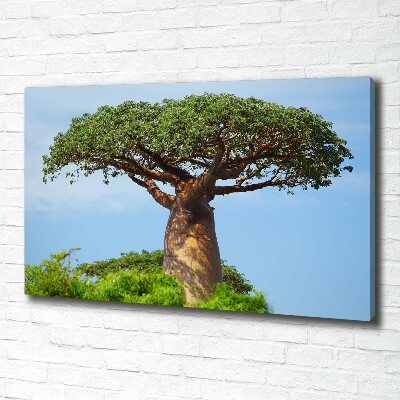 Tableau photo sur toile Baobab