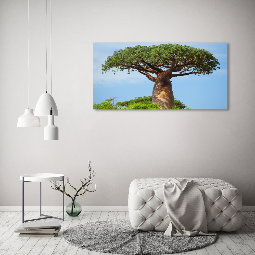 Tableau photo sur toile Baobab