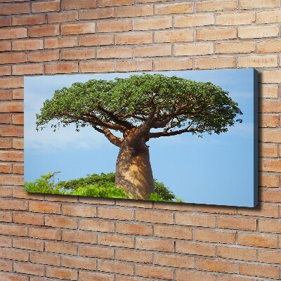 Tableau photo sur toile Baobab