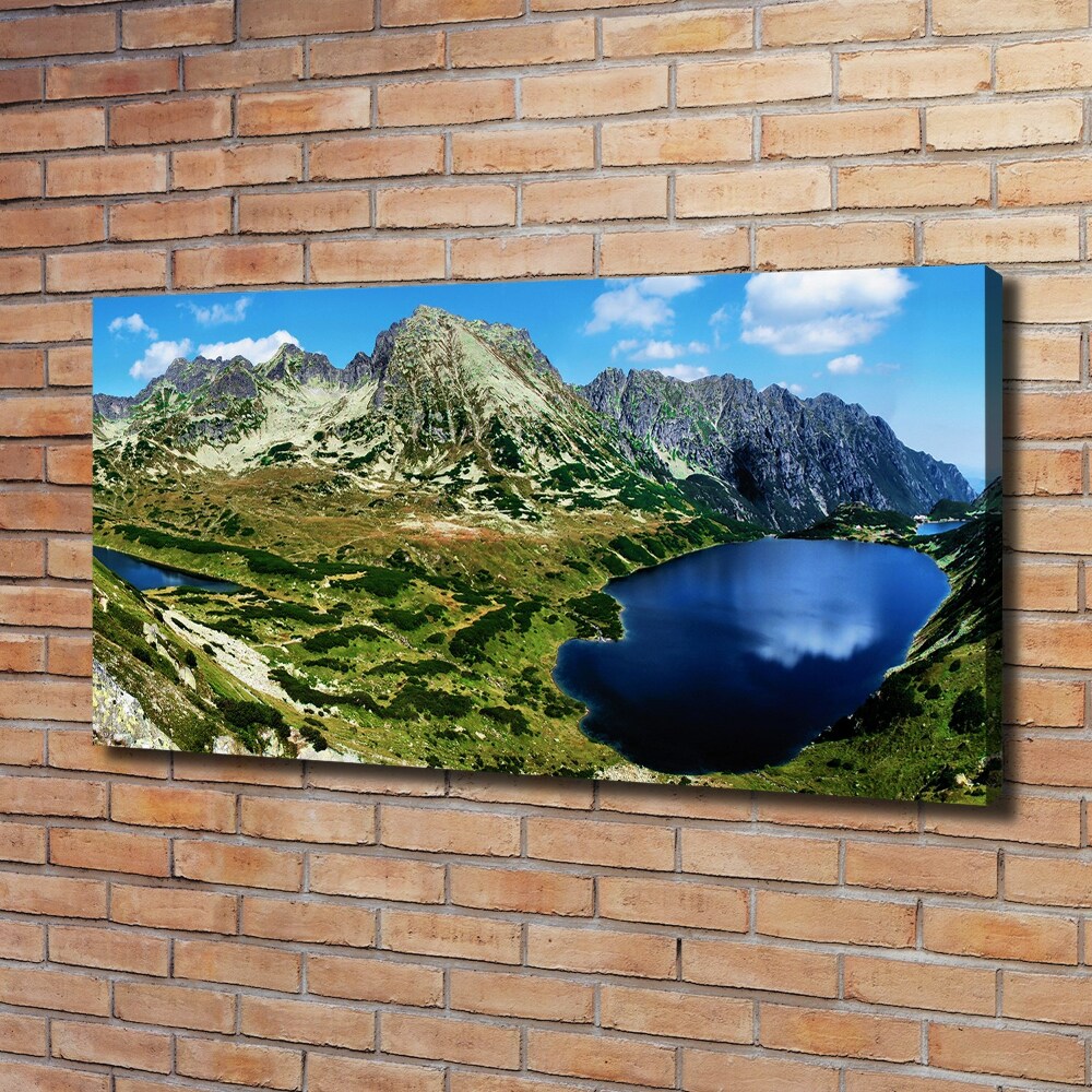 Tableau sur toile Vallée dans les montagnes