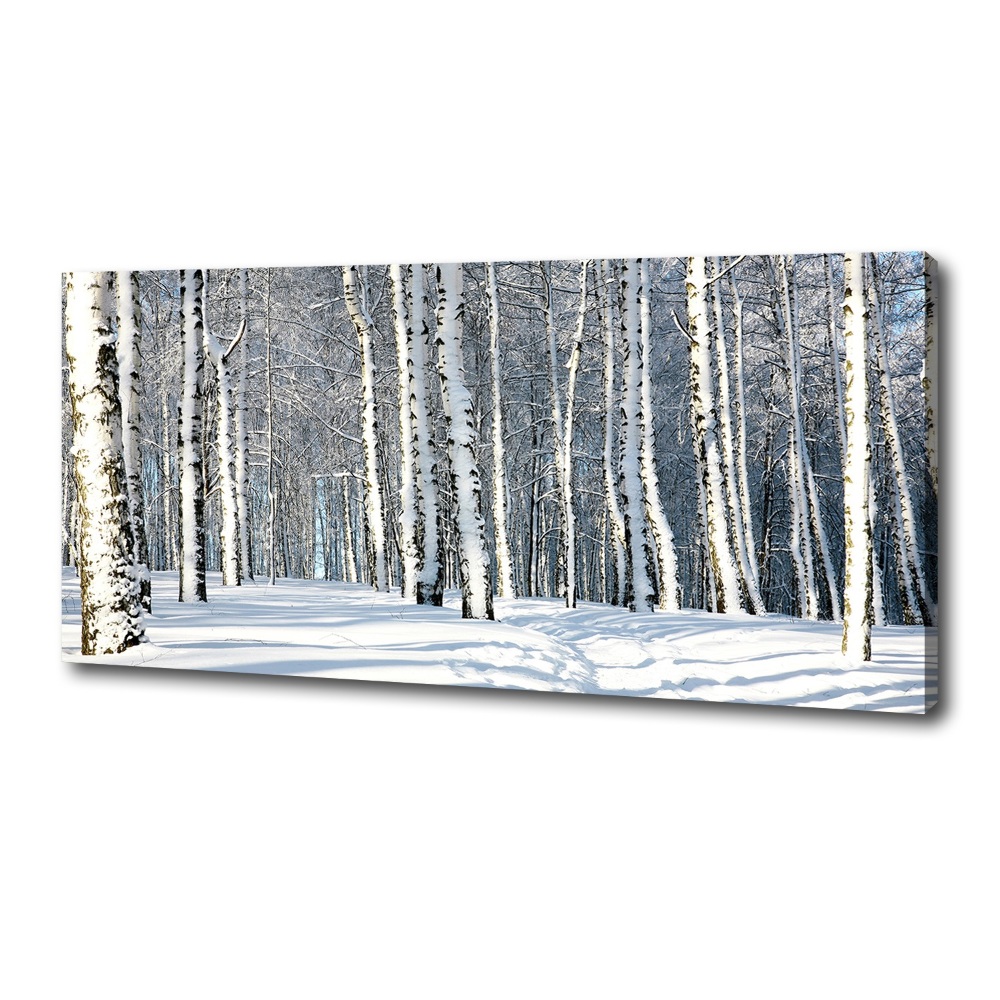 Tableau mural sur toile Forêt en hiver