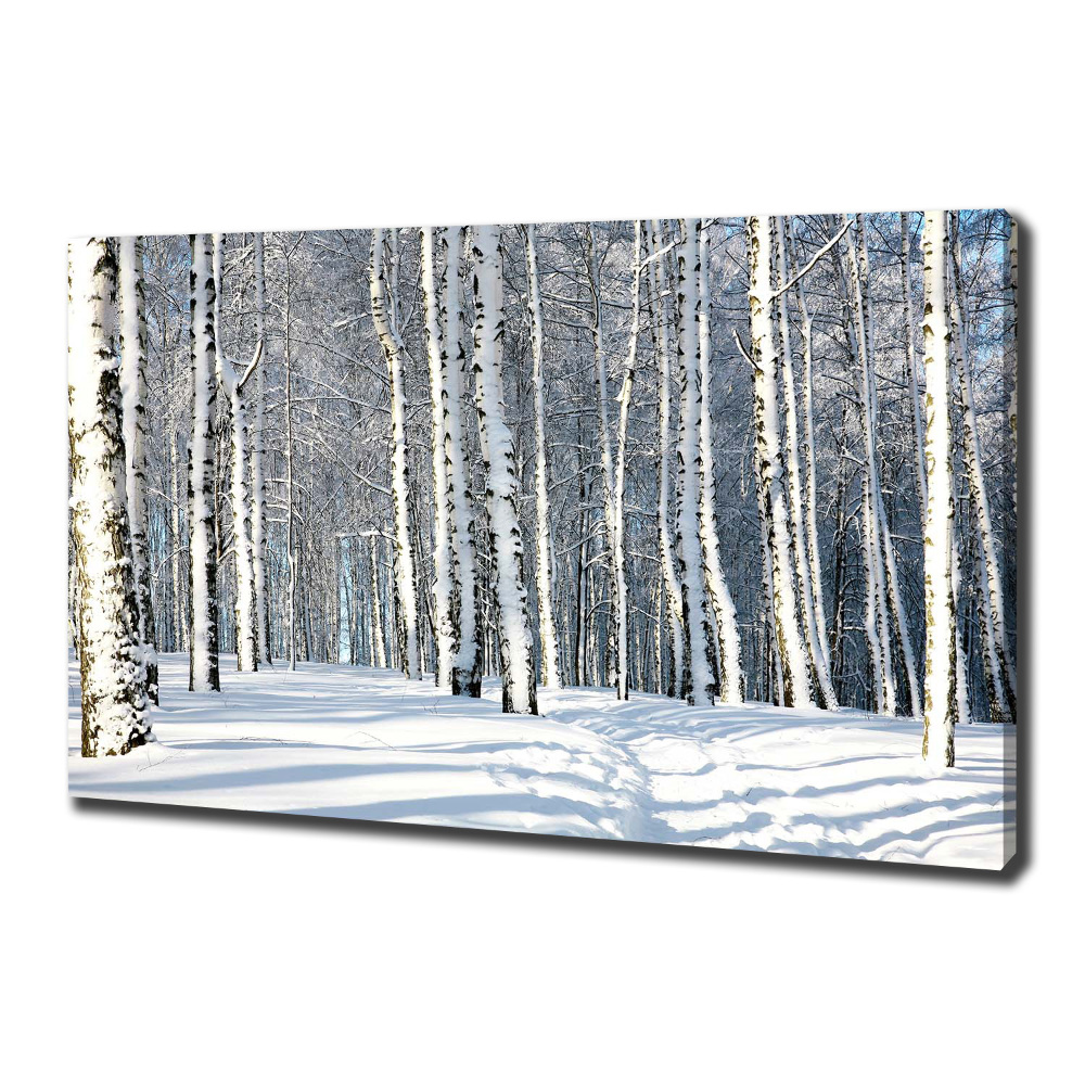 Tableau mural sur toile Forêt en hiver