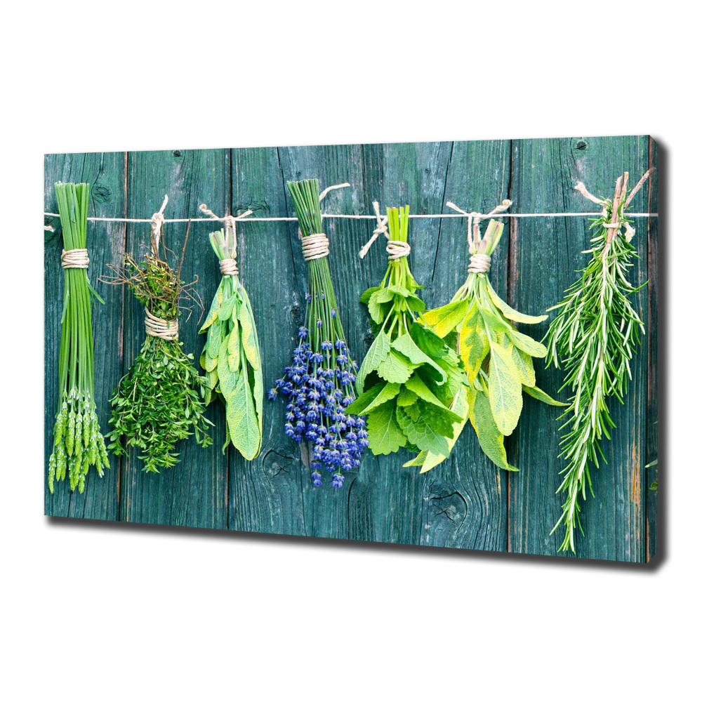 Tableau sur toile Les herbes sur un fil