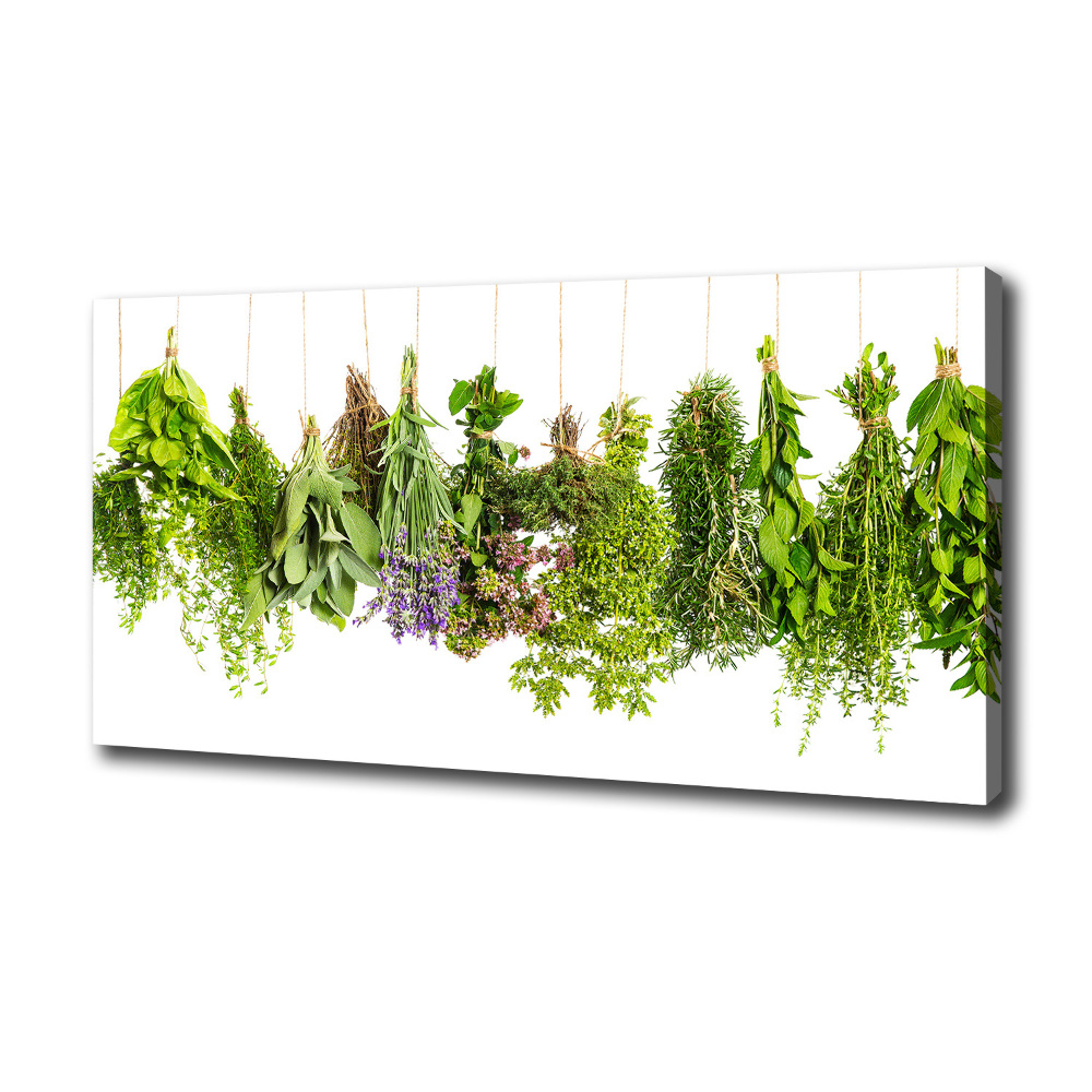 Tableau mural sur toile Herbes sur une ficelle