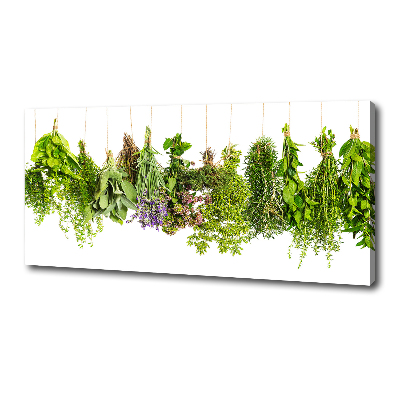 Tableau mural sur toile Herbes sur une ficelle