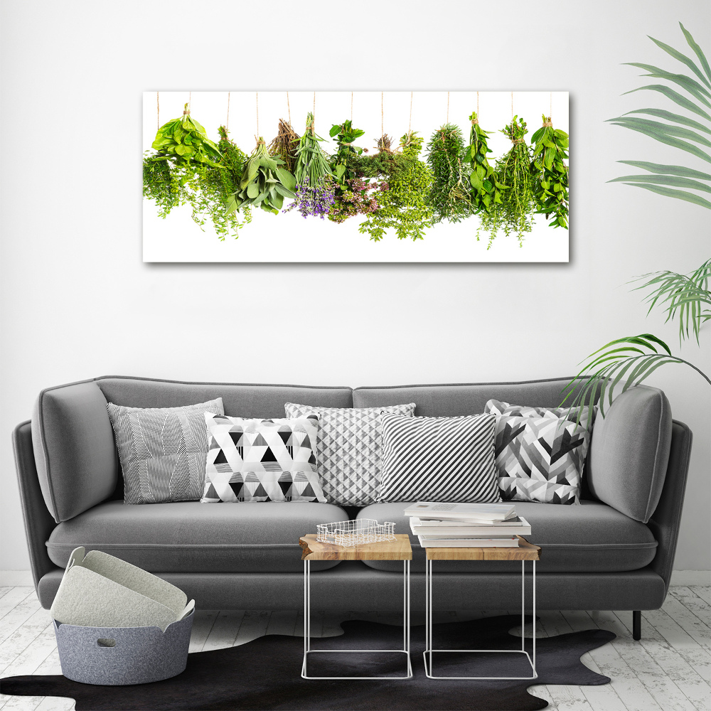 Tableau mural sur toile Herbes sur une ficelle