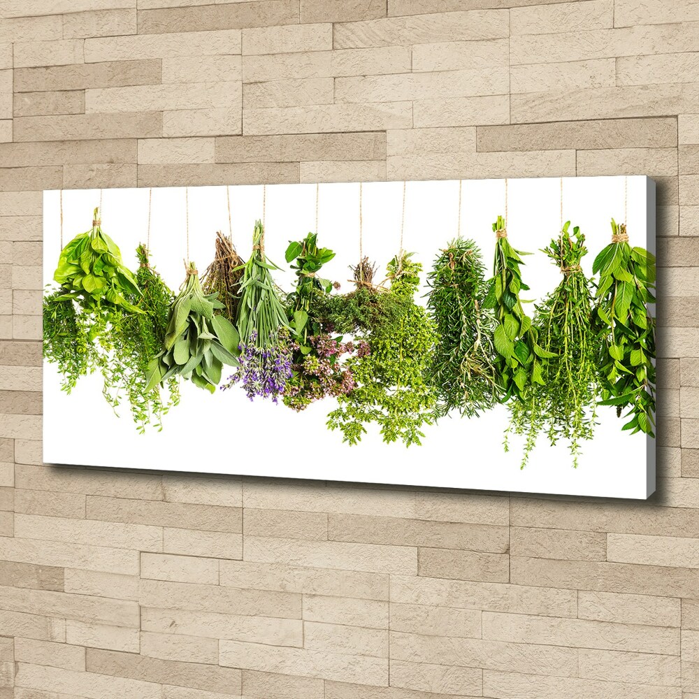 Tableau mural sur toile Herbes sur une ficelle