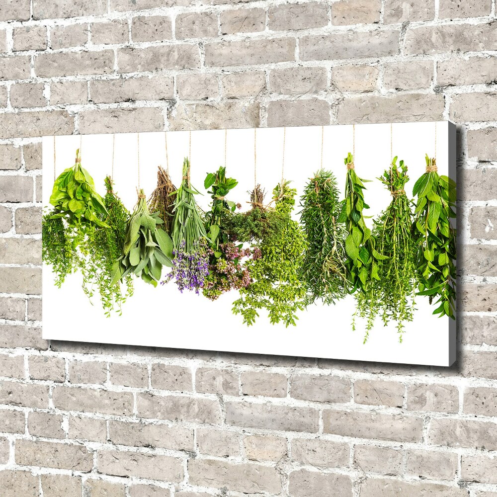 Tableau mural sur toile Herbes sur une ficelle