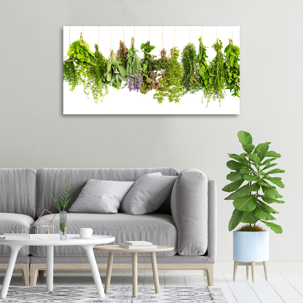 Tableau mural sur toile Herbes sur une ficelle