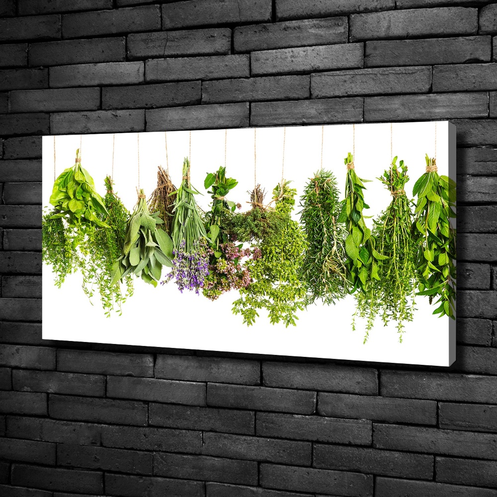 Tableau mural sur toile Herbes sur une ficelle