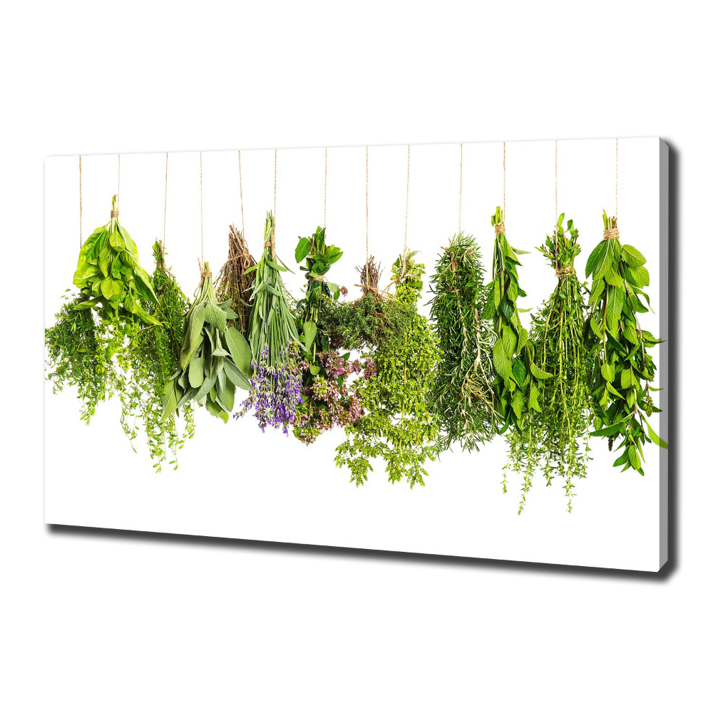 Tableau mural sur toile Herbes sur une ficelle