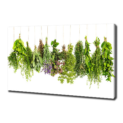 Tableau mural sur toile Herbes sur une ficelle