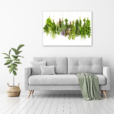 Tableau mural sur toile Herbes sur une ficelle