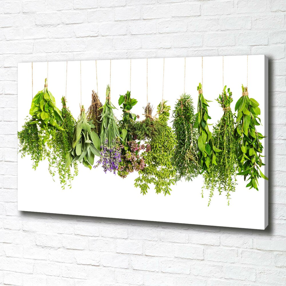 Tableau mural sur toile Herbes sur une ficelle