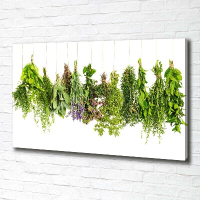 Tableau mural sur toile Herbes sur une ficelle