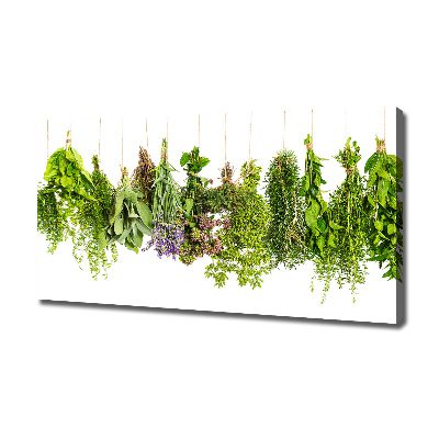 Tableau mural sur toile Herbes sur une ficelle