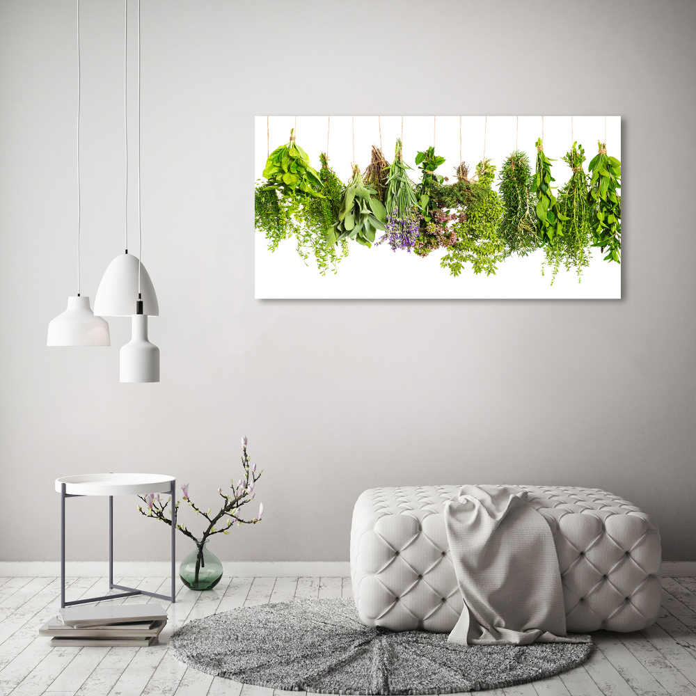 Tableau mural sur toile Herbes sur une ficelle