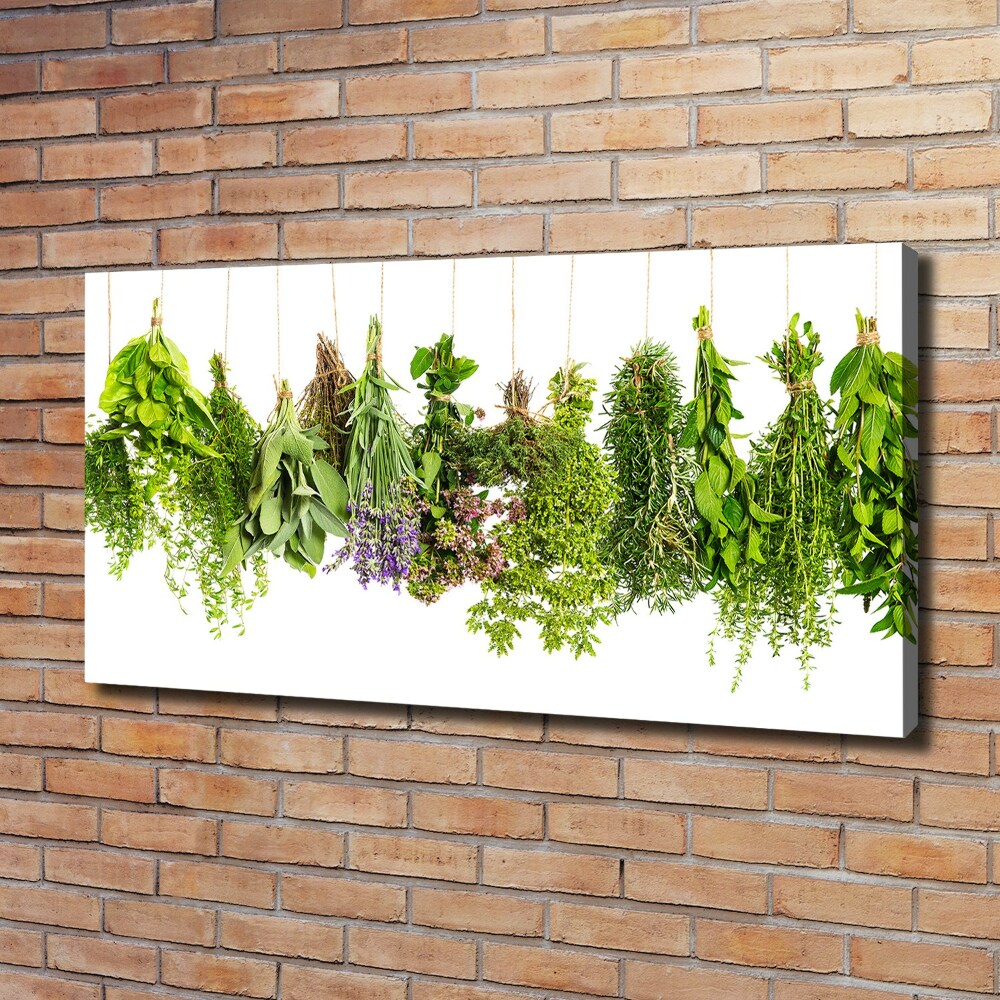 Tableau mural sur toile Herbes sur une ficelle