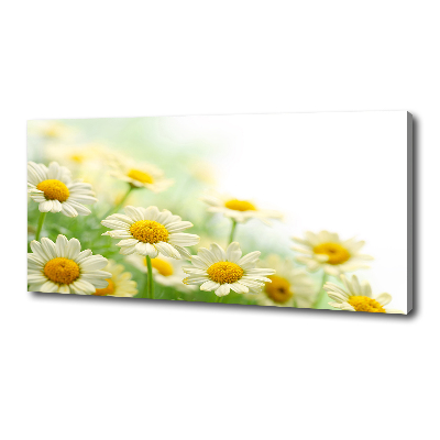 Tableau sur toile Marguerites