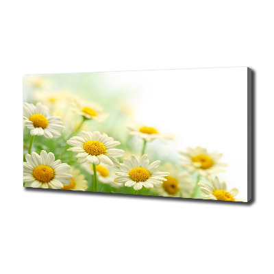 Tableau sur toile Marguerites