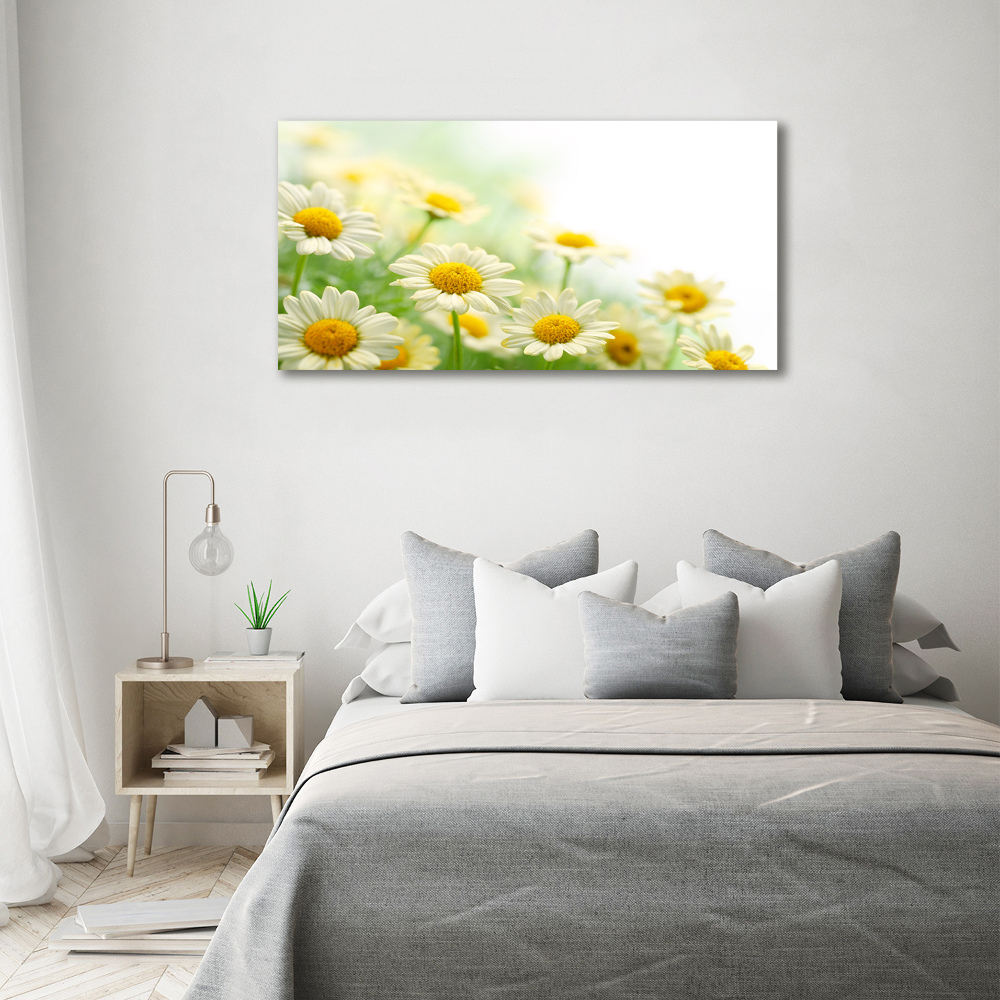 Tableau sur toile Marguerites