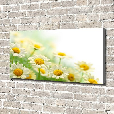 Tableau sur toile Marguerites