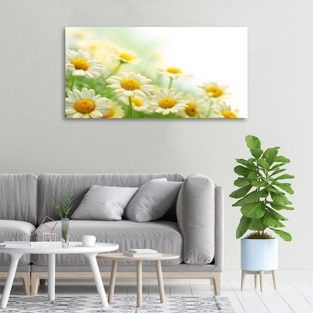 Tableau sur toile Marguerites