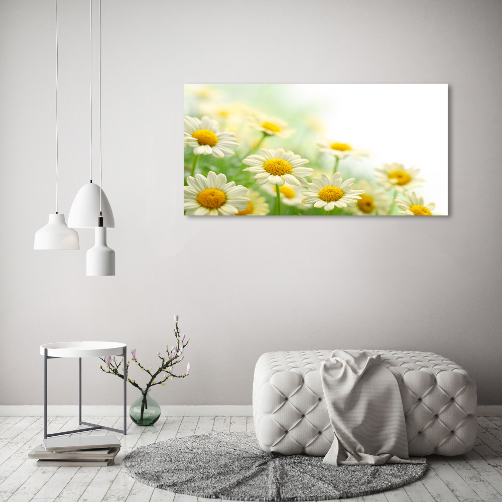 Tableau sur toile Marguerites