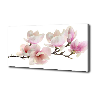 Tableau toile imprimée Magnolia