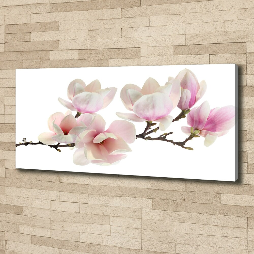 Tableau toile imprimée Magnolia