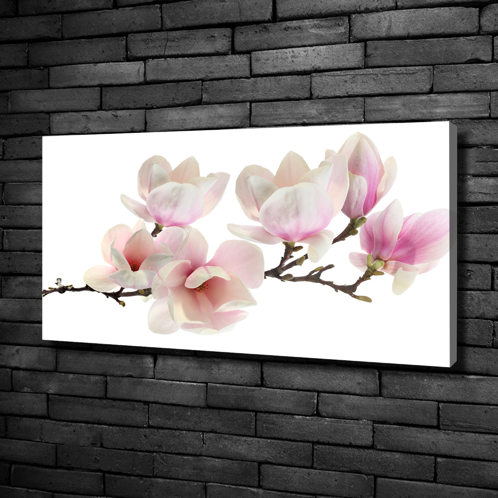 Tableau toile imprimée Magnolia