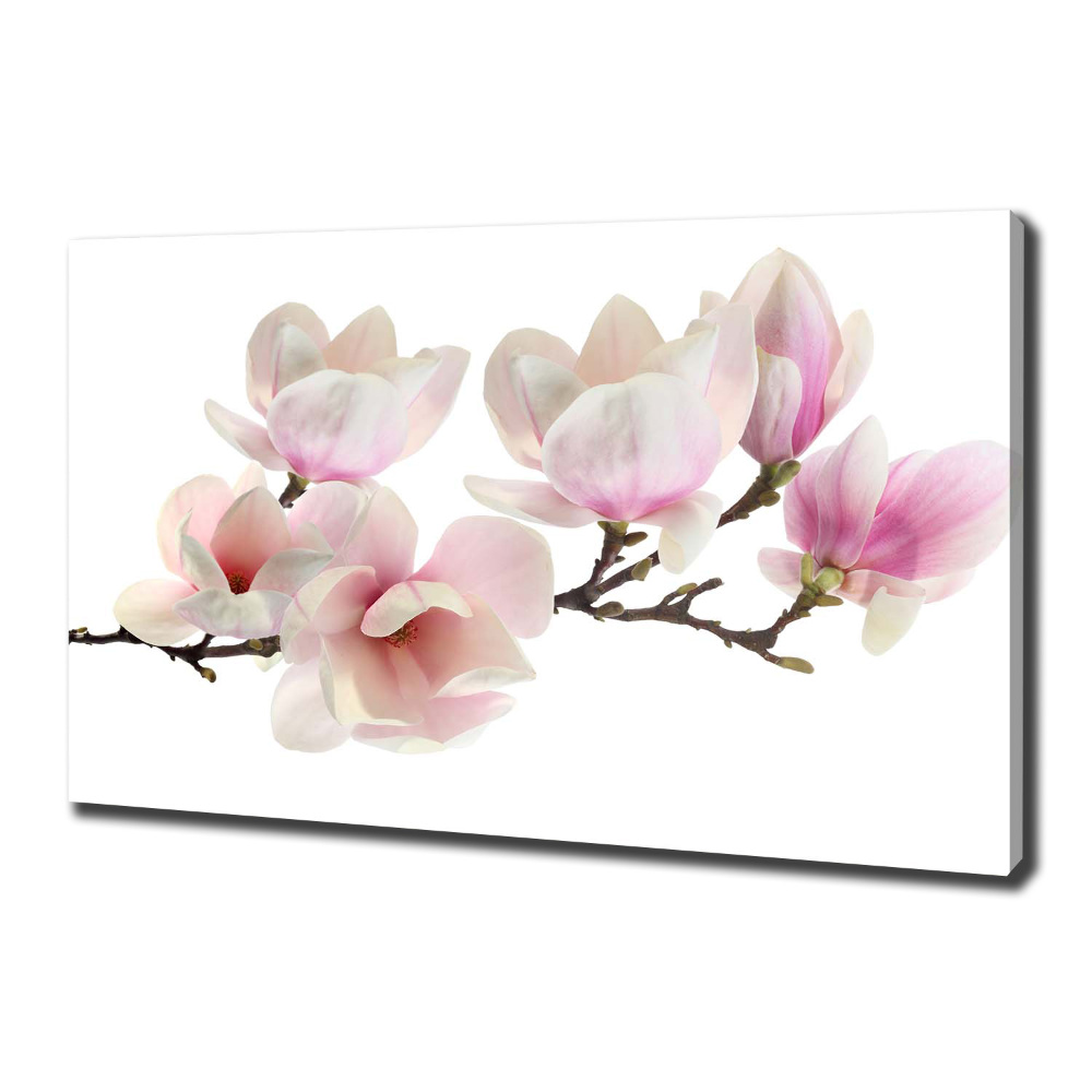 Tableau toile imprimée Magnolia