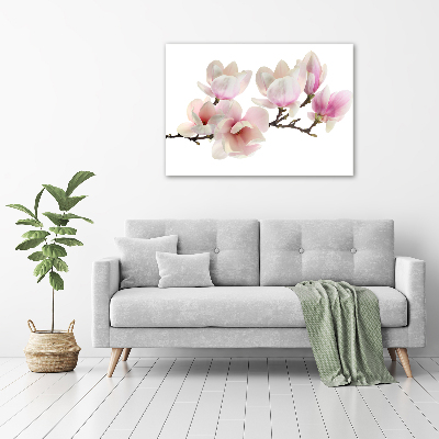 Tableau toile imprimée Magnolia